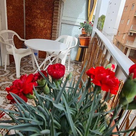 Sol Y Mar Entre Playas Apartment Торевиеха Екстериор снимка